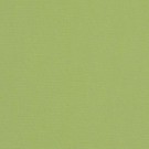 Sunbrella Canvas Gingko #54011-0000 Indoor / Outdoor Upholstery Fabric
