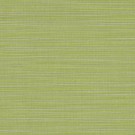 Sunbrella Dupione Peridot #8024-0000 Indoor / Outdoor Upholstery Fabric